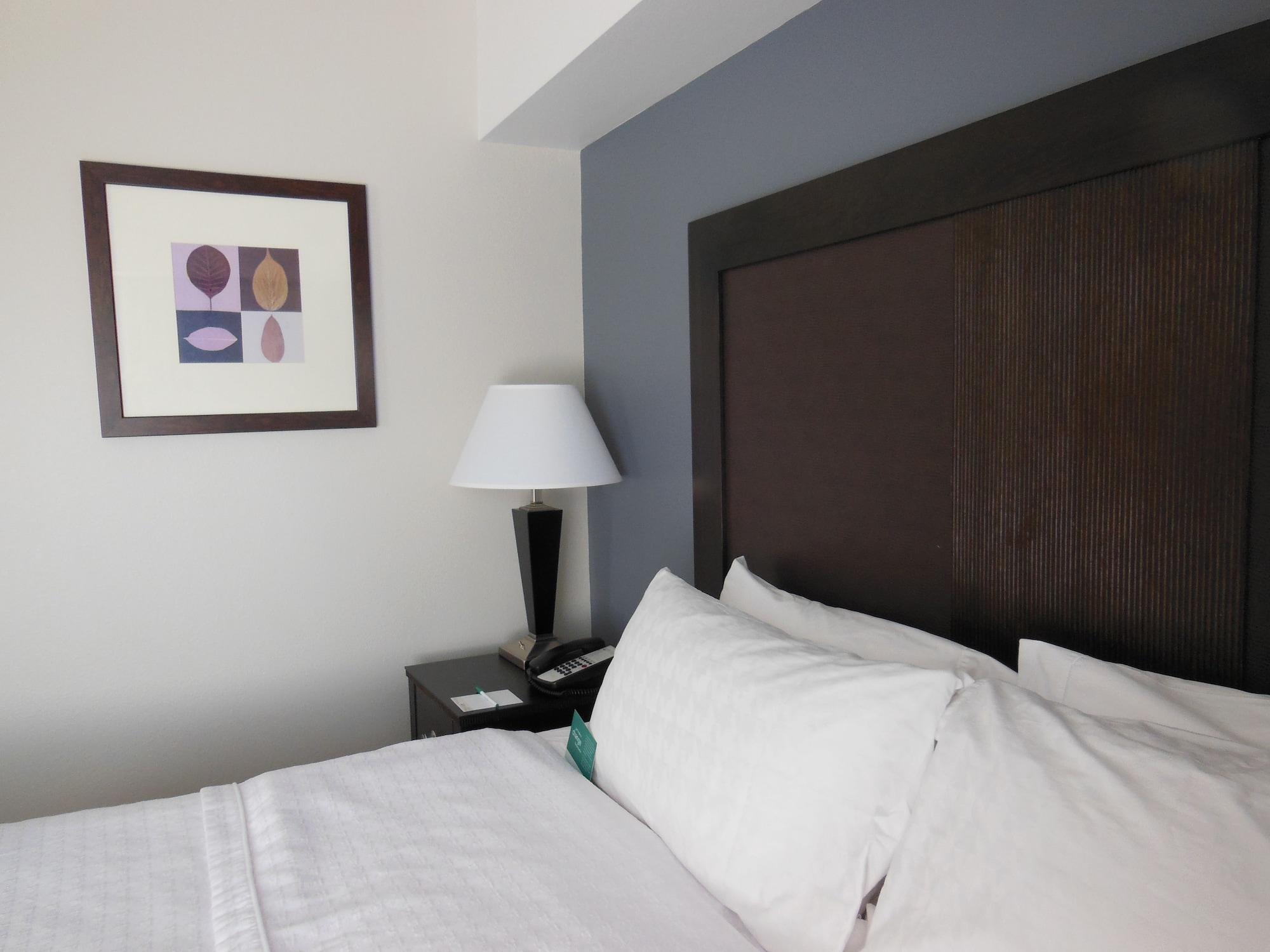 Homewood Suites By Hilton Louisville-East Buitenkant foto